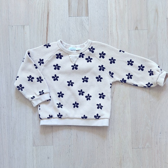 Zara Other - Zara sweatshirt